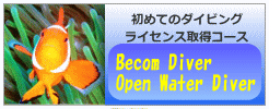 become a diver